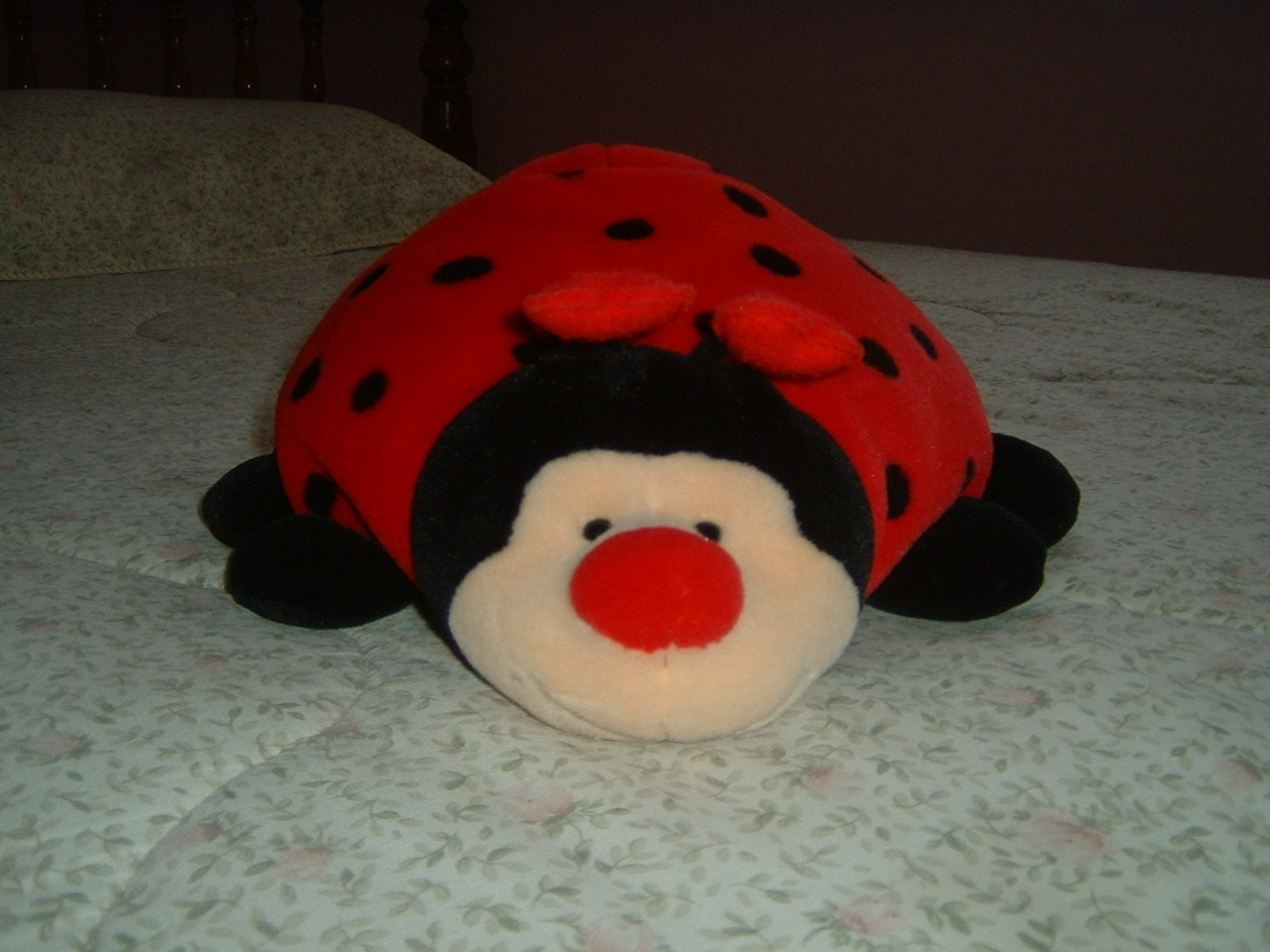 lovebug.jpg