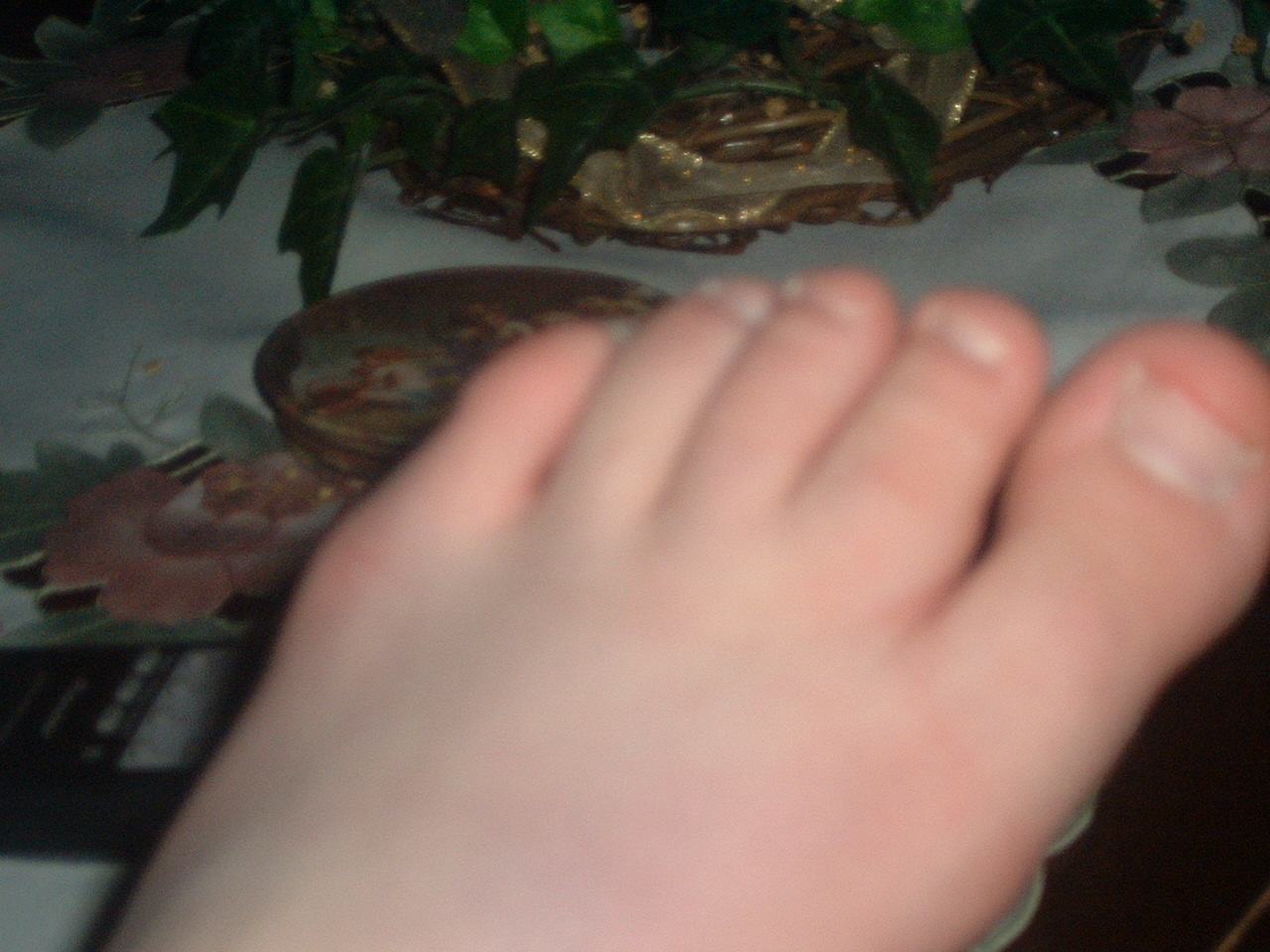 picture109.jpg